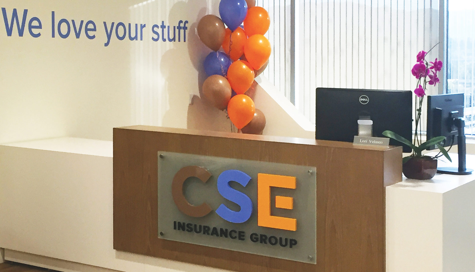 CSE Insurance Group Environment Design